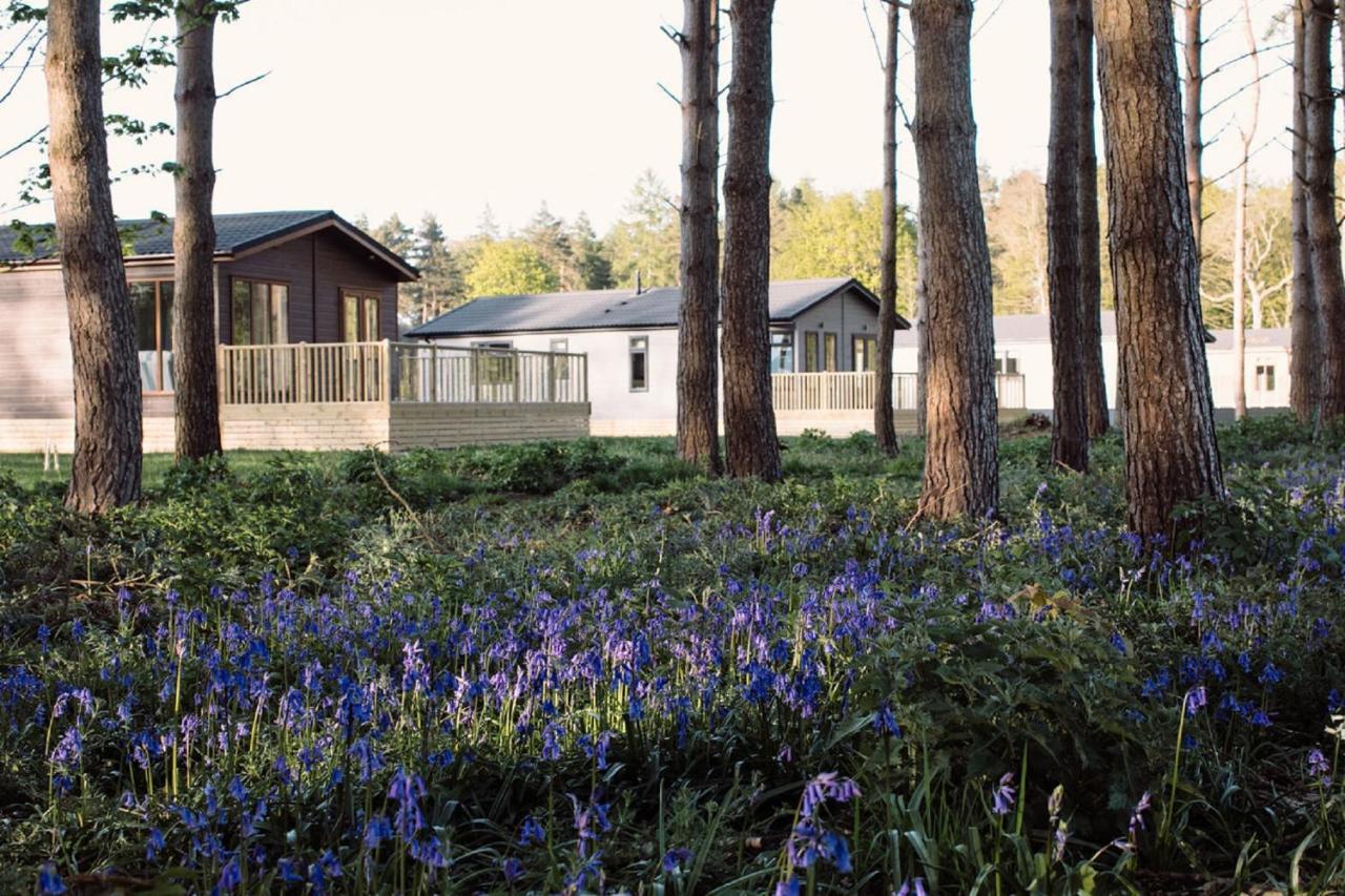 Holiday home Hollicarrs - Wildflower *